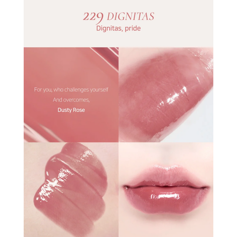 Dinto Blur-Glowy Lip Tint 3.5g