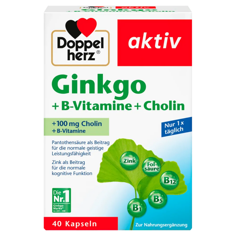 Doppelherz Aktiv Ginkgo 40 Caps